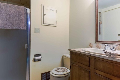 1444 Acadia Drive Se, Calgary, AB - Indoor Photo Showing Bathroom