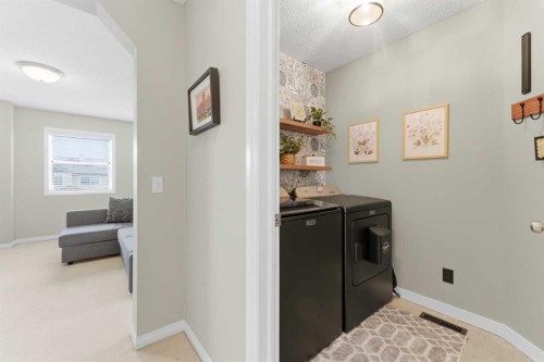 143 Chaparral Ravine View Se, Calgary, AB - Indoor Photo Showing Laundry Room