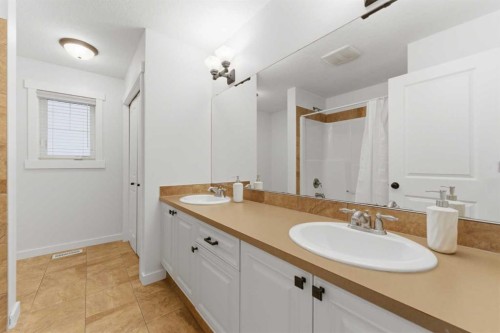335 Chapala Point Se, Calgary, AB - Indoor Photo Showing Bathroom