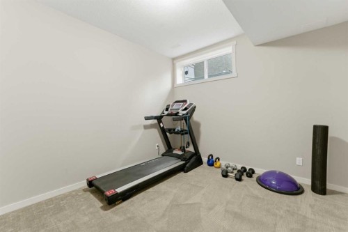 335 Chapala Point Se, Calgary, AB - Indoor Photo Showing Gym Room