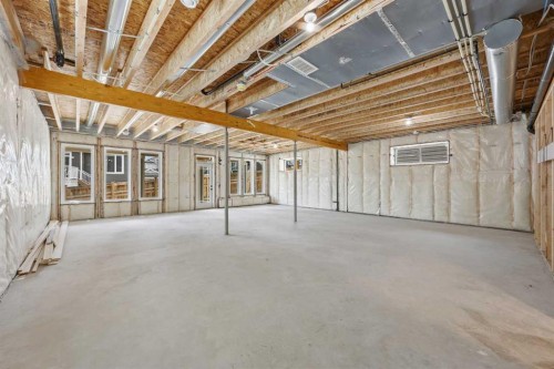 101 Creekstone Hill Sw, Calgary, AB - Indoor Photo Showing Basement