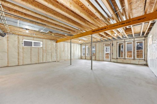101 Creekstone Hill Sw, Calgary, AB - Indoor Photo Showing Basement