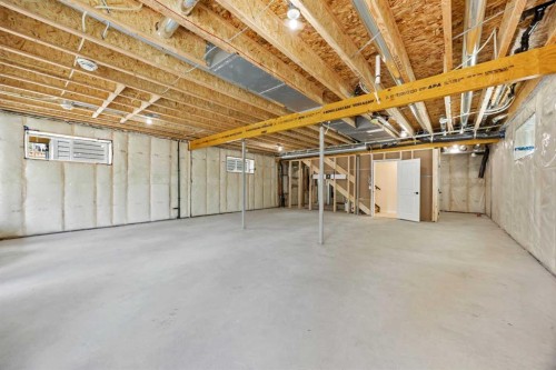 101 Creekstone Hill Sw, Calgary, AB - Indoor Photo Showing Basement