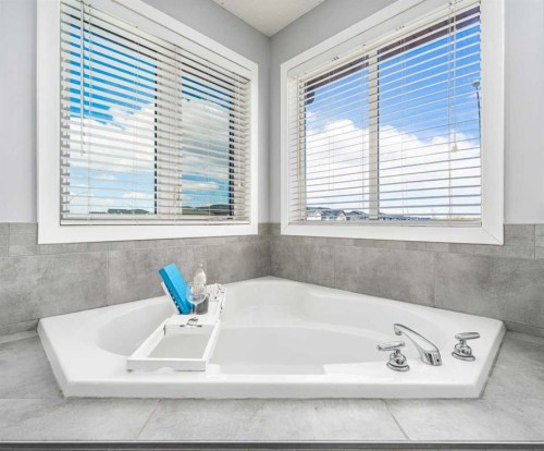 724 Luxstone Landing Sw, Airdrie, AB - Indoor Photo Showing Bathroom