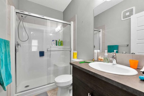 224-207 Sunset Drive, Cochrane, AB - Indoor Photo Showing Bathroom