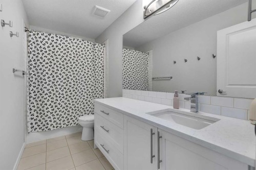 206-370 Harvest Hills Common Ne, Calgary, AB - Indoor Photo Showing Bathroom