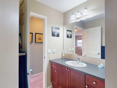 113 Evansford Circle Nw, Calgary, AB - Indoor Photo Showing Bathroom