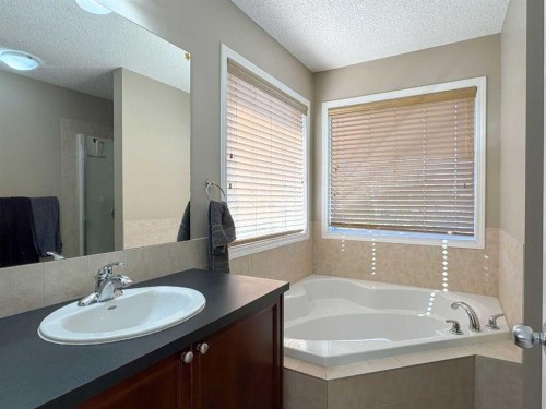 113 Evansford Circle Nw, Calgary, AB - Indoor Photo Showing Bathroom