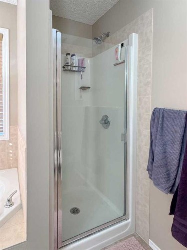 113 Evansford Circle Nw, Calgary, AB - Indoor Photo Showing Bathroom