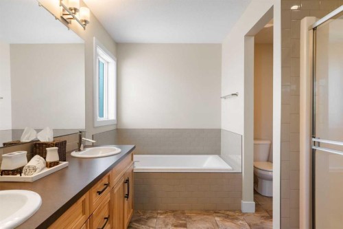 134 Masters Point Se, Calgary, AB - Indoor Photo Showing Bathroom