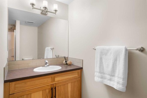 134 Masters Point Se, Calgary, AB - Indoor Photo Showing Bathroom