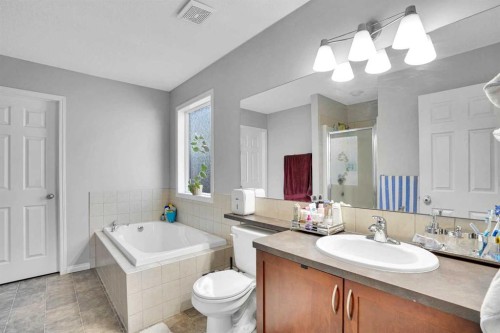 73 Covebrook Place Ne, Calgary, AB - Indoor Photo Showing Bathroom