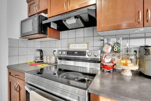 73 Covebrook Place Ne, Calgary, AB - Indoor Photo Showing Kitchen With Stainless Steel Kitchen