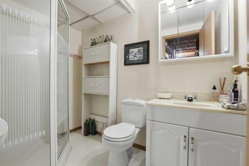 866 Applewood Drive Se, Calgary, AB 