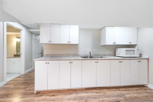 28 Cityscape Gardens Ne, Calgary, AB - Indoor Photo Showing Kitchen With Double Sink