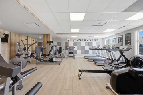 11 Les Jardins Park Se, Calgary, AB - Indoor Photo Showing Gym Room