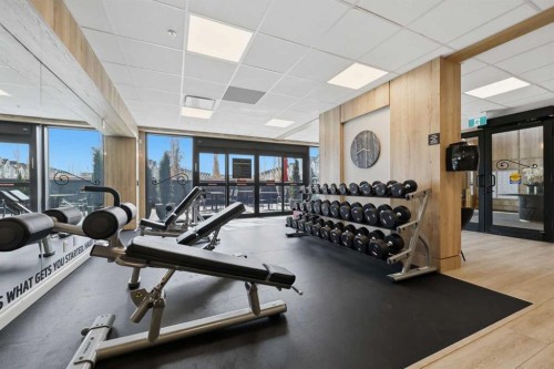11 Les Jardins Park Se, Calgary, AB - Indoor Photo Showing Gym Room
