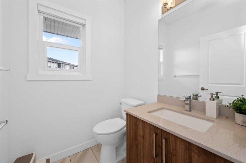 203-33 Merganser Drive, Chestermere, AB - Indoor Photo Showing Bathroom