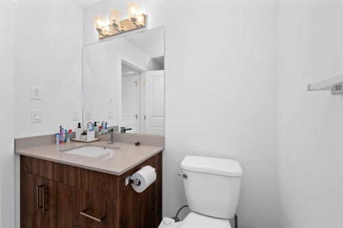 203-33 Merganser Drive, Chestermere, AB - Indoor Photo Showing Bathroom