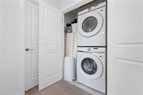 203-33 Merganser Drive, Chestermere, AB - Indoor Photo Showing Laundry Room
