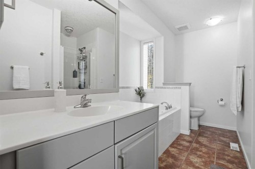 258 Cramond Circle Se, Calgary, AB - Indoor Photo Showing Bathroom
