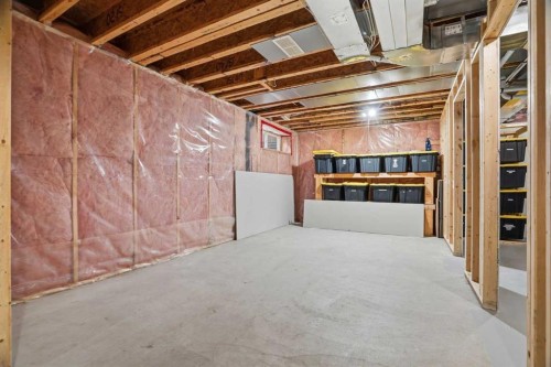 258 Cramond Circle Se, Calgary, AB - Indoor Photo Showing Basement