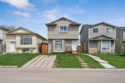367 Martinbrook Place NE Calgary, AB T3J 3E3