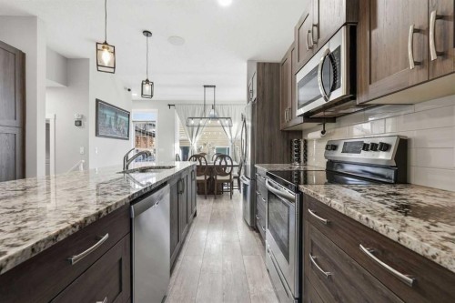 1071 Seton Circle Se, Calgary, AB - Indoor Photo Showing Kitchen With Upgraded Kitchen