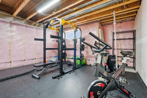 1071 Seton Circle Se, Calgary, AB - Indoor Photo Showing Gym Room