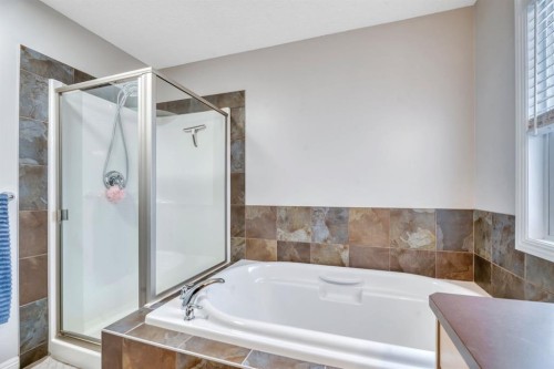 250 Prestwick Close Se, Calgary, AB - Indoor Photo Showing Bathroom