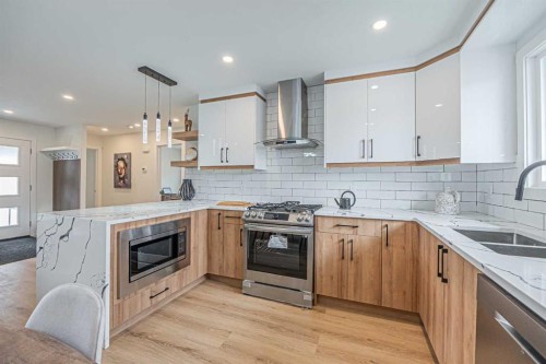 176 Huntchester Crescent Ne, Calgary, AB - Indoor Photo Showing Kitchen With Double Sink With Upgraded Kitchen