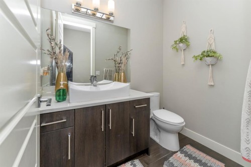 249 Kinniburgh Boulevard, Chestermere, AB - Indoor Photo Showing Bathroom
