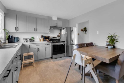 2231 39 Street Se, Calgary, AB - Indoor Photo Showing Kitchen With Double Sink