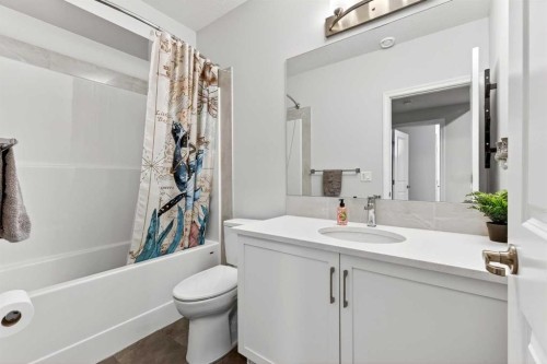 1949 Mahogany Boulevard Se, Calgary, AB - Indoor Photo Showing Bathroom