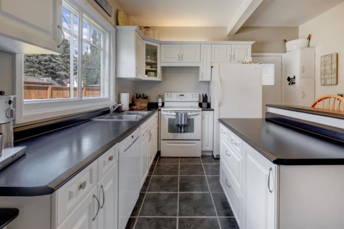 508 9 Street Ne, Calgary, AB - Indoor Photo Showing Kitchen With Double Sink