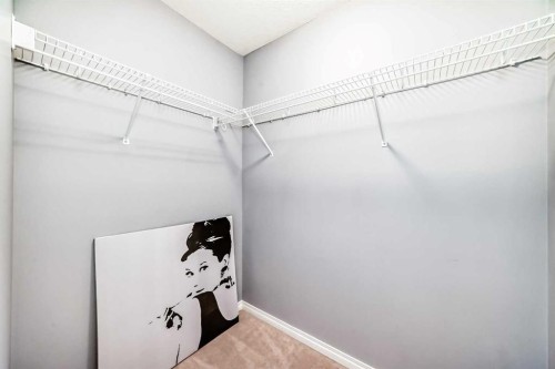 156 Simcoe Place Sw, Calgary, AB - Indoor With Storage