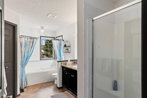 186 Mt Assiniboine Circle Se, Calgary, AB - Indoor Photo Showing Bathroom