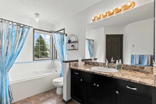 186 Mt Assiniboine Circle Se, Calgary, AB - Indoor Photo Showing Bathroom