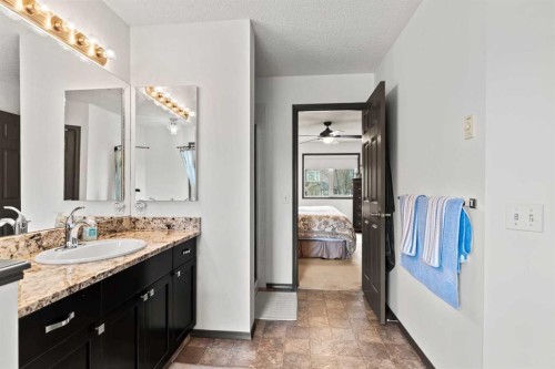 186 Mt Assiniboine Circle Se, Calgary, AB - Indoor Photo Showing Bathroom