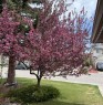 186 Mt Assiniboine Circle Se, Calgary, AB  - Outdoor 