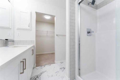 2410-42 Cranbrook Gardens Se, Calgary, AB - Indoor Photo Showing Bathroom