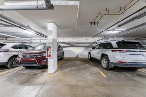 2410-42 Cranbrook Gardens Se, Calgary, AB - Indoor Photo Showing Garage