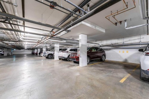 2410-42 Cranbrook Gardens Se, Calgary, AB - Indoor Photo Showing Garage