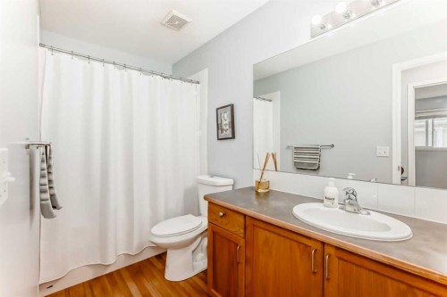 6621 Pinecliff Grove Ne, Calgary, AB - Indoor Photo Showing Bathroom