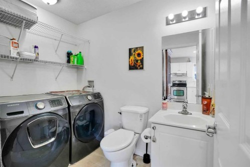 143 Taralea Gardens Ne, Calgary, AB - Indoor Photo Showing Laundry Room