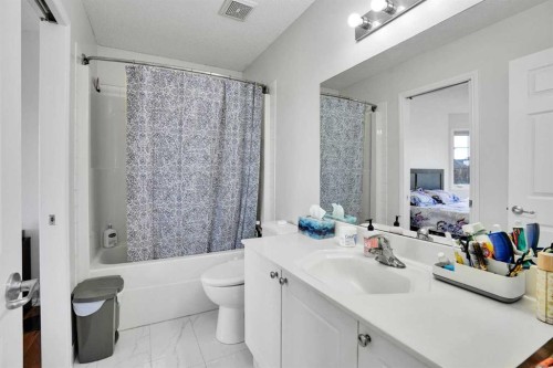 143 Taralea Gardens Ne, Calgary, AB - Indoor Photo Showing Bathroom