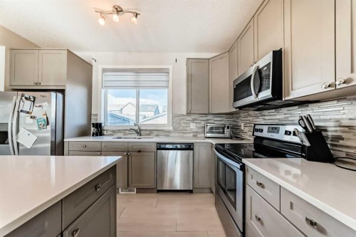 199 Savanna Parade Ne, Calgary, AB - Indoor Photo Showing Kitchen With Upgraded Kitchen