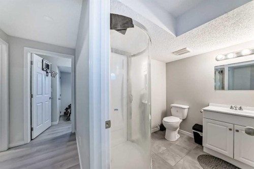 199 Savanna Parade Ne, Calgary, AB - Indoor Photo Showing Bathroom