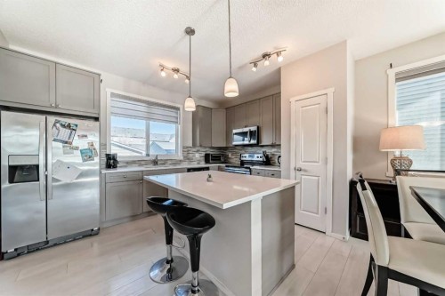 199 Savanna Parade Ne, Calgary, AB - Indoor Photo Showing Kitchen With Upgraded Kitchen