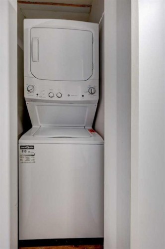 460 Parkridge Crescent Se, Calgary, AB - Indoor Photo Showing Laundry Room